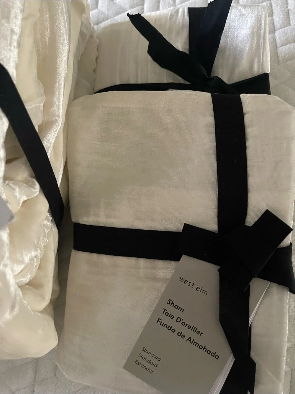 West Elm elegant cream